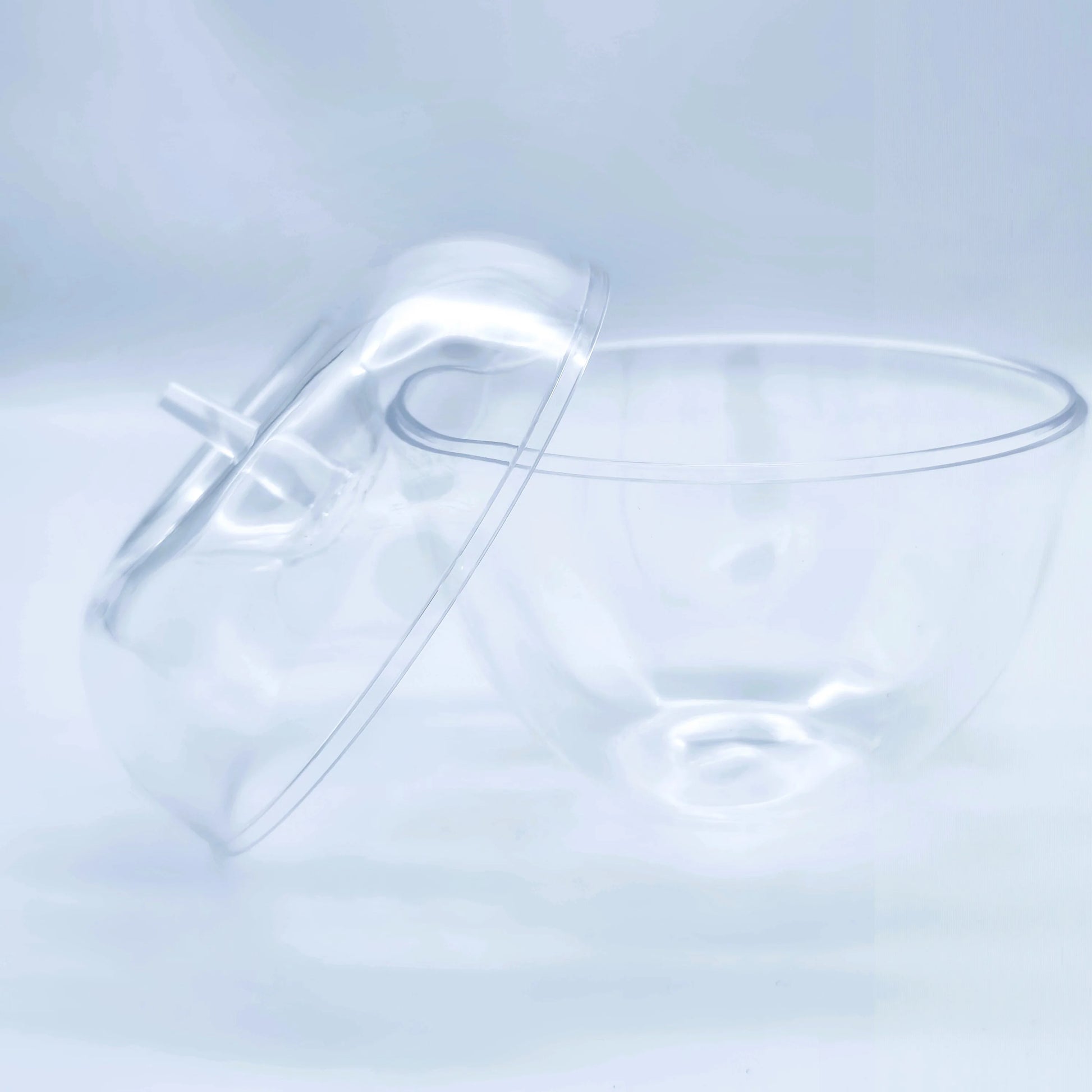 Plastic Apple Bowl - Jewish Depot