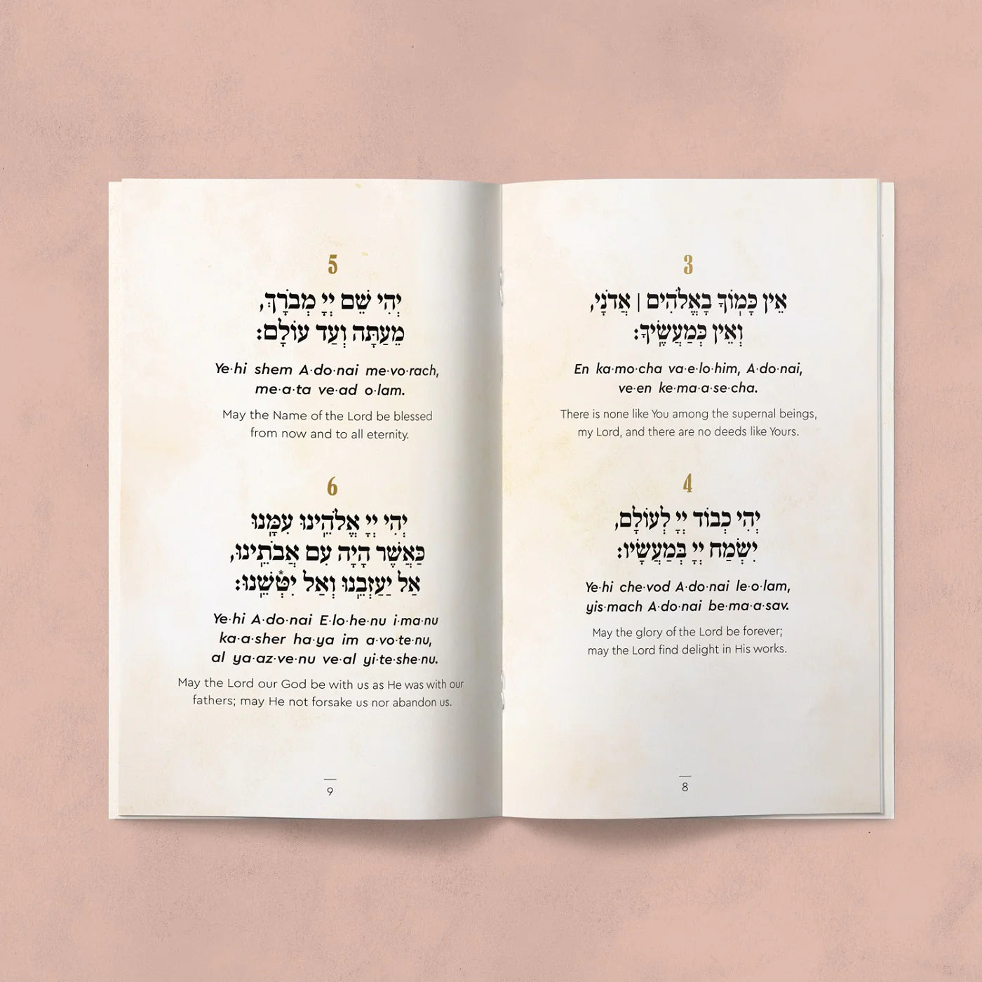 Hakafot Service Handbook - Hebrew, English, and Transliterations with 25 Songs