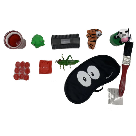 Educational 10 Plagues Toy Set – Interactive Passover Learning for Home & School - Jewish Depot
