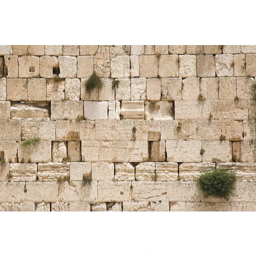 Kosel Backdrop Banner – Full-Color Israel-Themed Decor - Jewish Depot