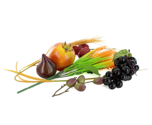 Shivat Haminim Hanging Decorations